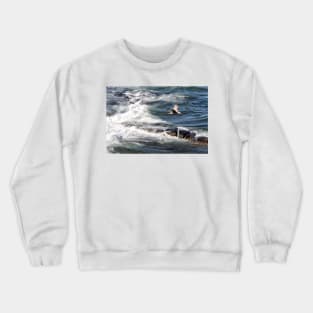 Seagulls flying over the waves, Seahouses, Northumberland, UK Crewneck Sweatshirt